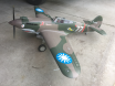 P-40 Warhawk (FMS)